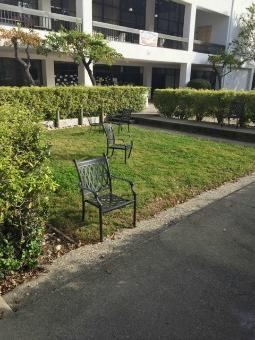 chairs on lawn