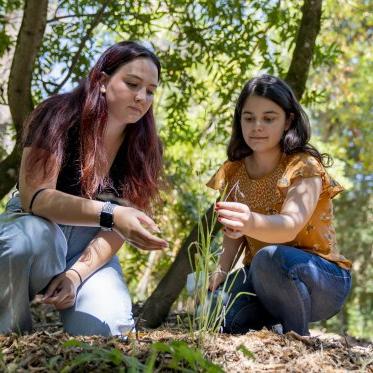 两个研究生在森林里收集蚜虫